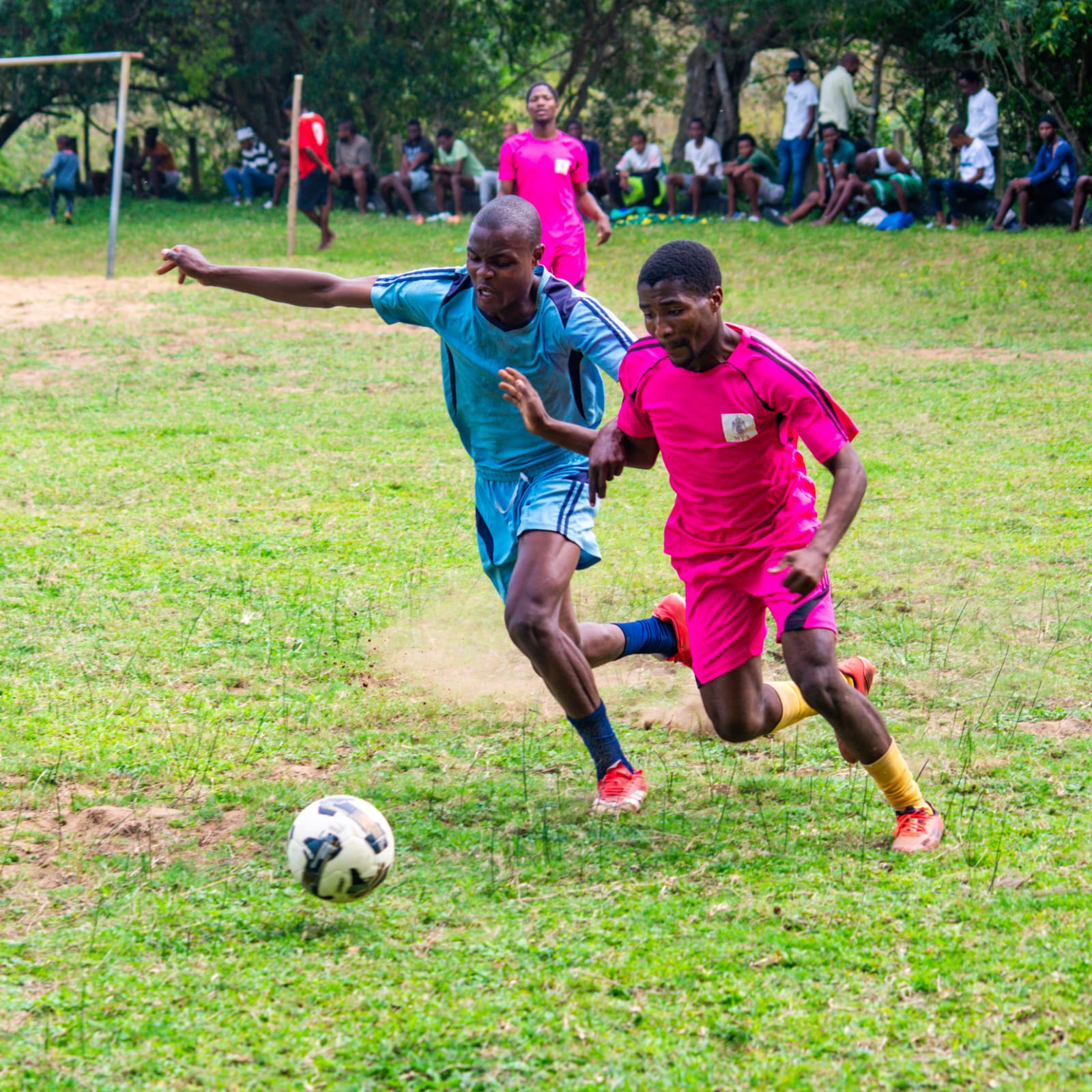 SPORTS photography 6